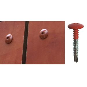 Vis inox TCB autoperçeuse P3 Ø5,5 - Fixation de panneaux de façade sur support métallique