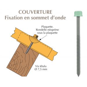 Vis têtalu autotaraudeuse de réparation 7,5x65 pour tôle ondulée sur bois