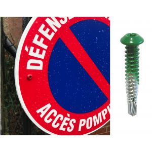 Vis tête rivet 6,3x38 autoperçeuse P1