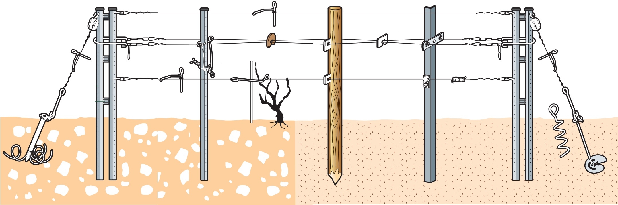 fenox palissage vigne fenox palissage vigne
